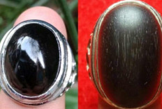 Bikin Penasaran! Ini 3 Batu Akik Kelor yang Konon Menyimpan Aura Gaib dan Tuah Spiritual