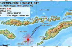 Gempa Magnitudo 3,5 Guncang Lembata NTT, BMKG Pastikan Tak Berpotensi Tsunami