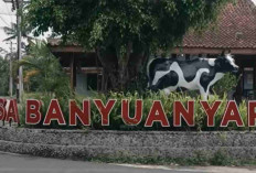 Intip Kisah Desa Banyuanyar, Desa Ramah Lingkungan yang Maju Lewat Program Desa BRILiaN