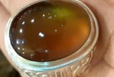 GEMPAR! Batu Akik Bio Solar Konon Punya Energi Gaib Aktif, Salah Pakai Bisa Bikin Gelisah