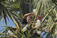 Desa Hendrosari Bangkit: UMKM Tumbuh, Ekonomi Melaju Berkat Program Desa BRILian