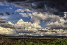 Prakiraan Cuaca Sumsel Hari Ini: Palembang Berawan, Sejumlah Daerah Diguyur Hujan