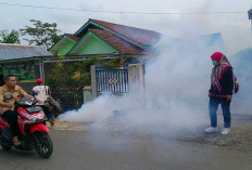 Kenapa Fogging Saja Belum Cukup? Ini Penjelasan Lengkap Dinkes Lahat Hadapi Ancaman DBD dan Malaria