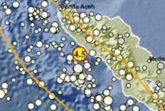 Gempa Magnitudo 4,5 Guncang Meulaboh Pagi Ini, Tak Berpotensi Tsunami