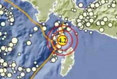 Gempa Magnitudo 4,2 Pagi Ini Guncang Kepulauan Aru, Tak Berpotensi Tsunami