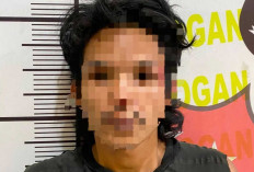 Gerak Cepat Tim Resmob, Pencuri Buah Sawit Meresahkan di Ogan Ilir Tak Berkutik Diciduk Polisi