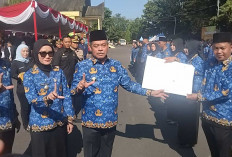 ASN Lahat Siap-siap! WFH Setiap Jumat Bakal Diterapkan, Ini Kriteria yang Diperbolehkan