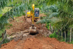 Petani Sawit Sumringah! Akses Jalan Kebun Jajaran Baru Lahat Kini Lebar 4 Meter, Mobil Bisa Masuk
