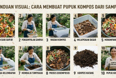 Panduan Lengkap Bikin Pupuk Kompos Organik Sendiri yang Mudah dan Bebas Bau untuk Pemula