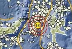 Gempa Magnitudo 4,0 Guncang Ternate Pagi Ini, Tak Ada Potensi Tsunami
