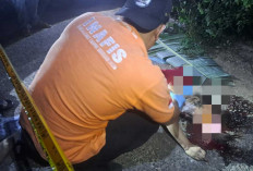 Luka Robek di Wajah dan Memar Pinggang: Misteri Penemuan Mayat Ibu Rumah Tangga di Pinggir Jalan Ogan Ilir