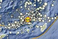 Gempa Magnitudo 4,6 Pagi Ini Guncang Maluku Tenggara Barat, Tak Berpotensi Tsunami