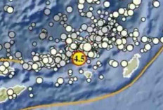 Gempa Magnitudo 4,5 Kembali Guncang Maluku Barat Daya, Tak Berpotensi Tsunami