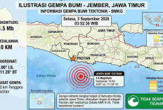 Rentetan Gempa Guncang Indonesia Dini Hari, Pacitan Terkuat Capai M4,5