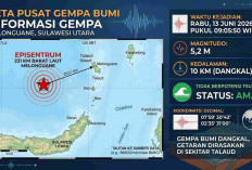 Gempa M 5,2 Guncang Melonguane Sulut Pagi Ini, BMKG Catat Rentetan Gempa Susulan