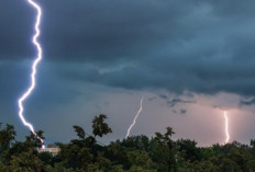 Prakiraan Cuaca BMKG 16 Januari 2026: Waspada, Hujan Petir di Muara Enim, OKUT dan Prabumulih