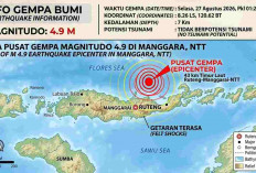 Gempa Susulan Flores M7,7 Belum Reda, 8.193 Kali Guncangan Tercatat hingga Hari Ini