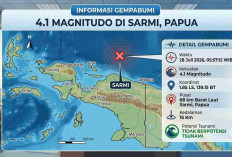 Sarmi Papua Diguncang Gempa M4,1 Pagi Ini, BMKG Pastikan Tak Berpotensi Tsunami