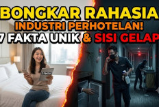 Bongkar Habis! 7 Fakta Unik dan Rahasia Tergelap di Balik Kemewahan Kamar Hotel yang Sengaja Disembunyikan