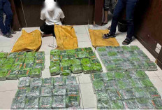 BNN dan Bea Cukai Berhasil Bongkar Jaringan Sabu 100 Kg di Aceh Timur, Ini Modusnya