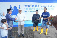 Momentum Idul Adha, BRI Group Distribusikan lebih dari 5000 Hewan Kurban di Berbagai Daerah di Indonesia