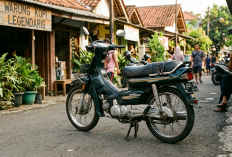 Bukan Sekadar Motor Tua, Ini Alasan Honda Legenda Masih Jadi Sahabat Setia dan Rebutan Warga di Jalanan