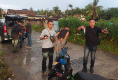 Nekat Bawa Senpi Rakitan dan Kunci T, 2 Pria di Belitang Tak Berkutik Dicegat Polisi