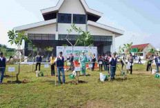 Hutama Karya Tanam 17.000 Pohon di JTTS, Target Serap Ribuan Ton Emisi hingga 2050