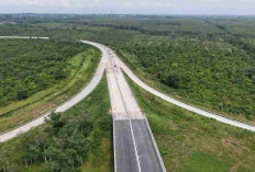 Cek Progres JTTS di Sumsel, Hutama Karya Fokus Percepat Tol Palembang-Betung