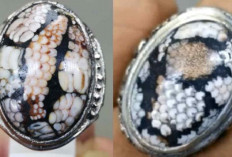 7 Manfaat Mistis Batu Akik Sisik Ular, Nomor 6 Disebut Jadi Rahasia Para Pejabat dan Pengusaha