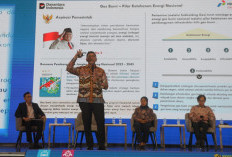 PGN Ubah Gas Bumi Jadi Barang Bernilai Tinggi, Hilirisasi Gas Bumi Jadi Kunci Sukses!