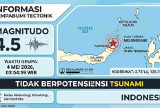 Gempa Magnitudo 4,5 Guncang Melonguane Sulut Pagi Ini, Tak Berpotensi Tsunami