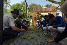 PTBA Resmikan NUSA di Pasir Sakti, Perkuat Rehabilitasi Mangrove Berbasis Masyarakat