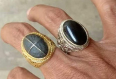 BONGKAR TABIR GAIB! Batu Akik Tapak Jalak Konon Penolak Ilmu Hitam dan Penggentar Jin 