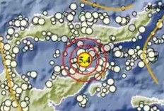 Gempa Magnitudo 5,4 Guncang Gorontalo Pagi Ini pada Kedalaman 64 Km, Tak Berpotensi Tsunami