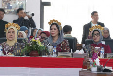 Bikin Terpukau! Rahasia Anggunnya Ibu Bupati Ogan Ilir Acara HUT, Pakai Aksesori Kuningan Khas Tanjung Batu