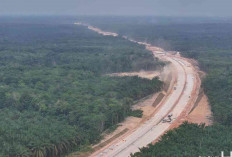 Hadirkan Konektivitas antara Sumsel dan Jambi, Progres Tol Betung-Jambi Seksi 1B Capai 31%