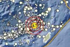 Gempa Magnitudo 4,7 Baru Saja Guncang Maluku Tenggara Barat, Tak Berpotensi Tsunami