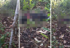 Pamit Keluar Rumah Sebelum Isya, Bocah SD di OKI Ditemukan Meninggal di Kebun Karet
