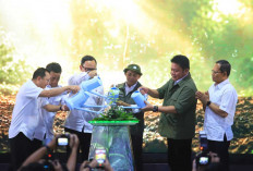 Gubernur Herman Deru Apresiasi Peran Aktif Masyarakat Jaga Kawasan Hutan
