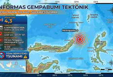 BMKG Catat Gempa M4,3 di Melonguane Pagi Ini, Ruteng Kembali Diguncang Berkali-kali
