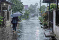 Prakiraan Cuaca Sumsel Hari Ini: 9 Daerah Diguyur Hujan Ringan, Pagar Alam Waspada Petir