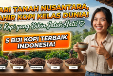 Dari Tanah Nusantara, Lahir Kopi Kelas Dunia! Ini 5 Biji Kopi Indonesia dengan Cita Rasa yang Bikin Jatuh Hati