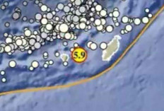 Gempa Beruntun Terjadi Dini Hari, BMKG: Tanimbar Diguncang Magnitudo 5,9