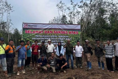 Gak Perlu Modal Awal! Pemdes Lubuk Lungkang dan PT SMS Garap 125 Hektar Kebun Sawit Warga
