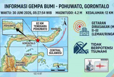 Gempa Magnitudo 4,2 Guncang Gorontalo Pagi Ini, BMKG Ungkap Titik Episentrumnya