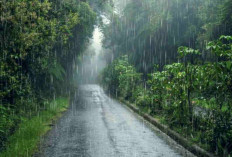 Prakiraan Cuaca Hari Ini, Palembang dan Sebagian Sumsel Didominasi Hujan, Muara Enim Berawan