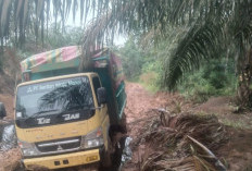 Polisi Amankan Truk Pengangkut Minyak Curian Milik Medco E&P di Musi Rawas