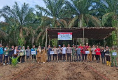 Dukung Program Ketahanan Pangan, Polsek Lais Sinergi dengan Forkopimcam dan Perusahaan Tanam Jagung Bersama