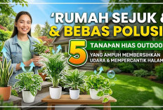 Rumah Sejuk dan Bebas Polusi! 5 Tanaman Hias Outdoor yang Ampuh Membersihkan Udara dan Mempercantik Halaman